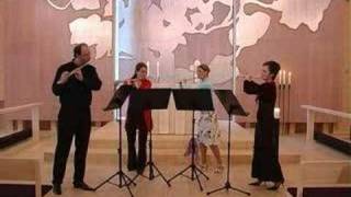 APiazzolla  Los Pajaros Perdidos flute quartet DVarelas [upl. by Ardnaiek]