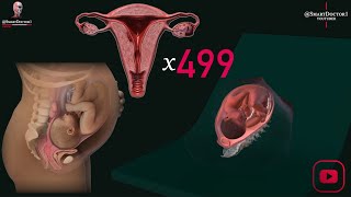 10 Amazing Information About the Uterus 🔥🦇 [upl. by Silden]