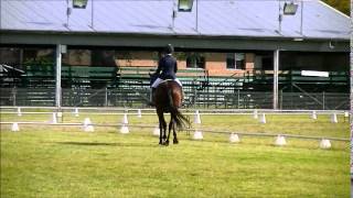 Jet Li Dressage Novice 22 Test [upl. by Amathiste]