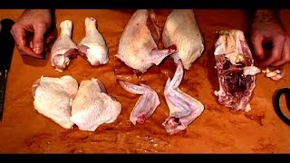 How to Butcher a Whole Chicken [upl. by Virge]