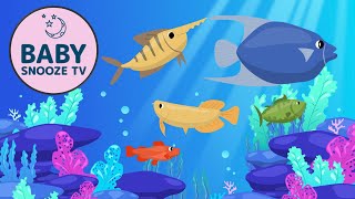 Soothing Fish Lullaby and Calming Undersea Animation  Lullaby Aquarium  Bedtime Lullabies [upl. by Ynnel280]