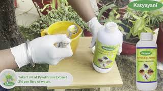 How to Use Katyayani Pyrethrin Insecticide   Organic Farming  Agriculture fyp insecticide [upl. by Nappie]