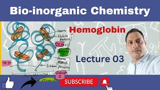 Hemoglobin  Hemoglobin Structure  Hb hemoglobin hemoglobin structure Hb structure [upl. by Atirabrab]