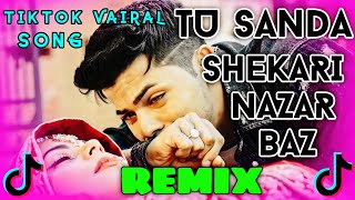 Tu Sanda Shikari Dj Remix  Tiktok Vairal Dj Song 2024  Husan Da Shikari Dj  Main Bewafa Dj Remix [upl. by Heyde]