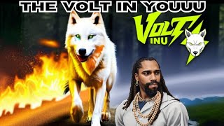 Volt In Youuu  Volt Inu song ⚡ [upl. by Nadaba]