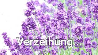 Verzeihung [upl. by Nirrol]