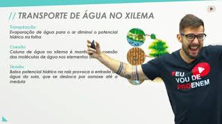 Água sais minerais e vitaminas I Biologia I Prof Bruno Pires [upl. by Seilenna]