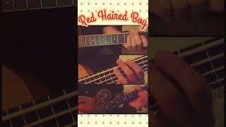 Red Haired Boy  Mandolin Cover [upl. by Ramona]