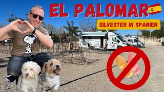 Silvester 🪅🧨 in Spanien ohne Böller  Campingplatz El Palomar  Überwintern im Wohnmobil mit Hund [upl. by Judith121]