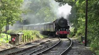 Churnet Valley Railway [upl. by Jun276]