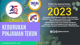 Kelebihan Dan Keburukan Pinjaman Tekun [upl. by Nierman]