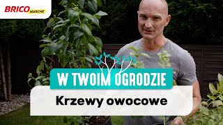 Krzewy owocowe W Twoim ogrodzie [upl. by Constantin]