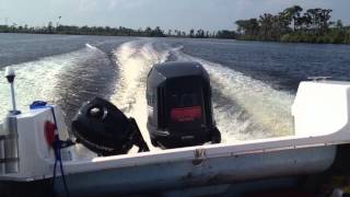 Evinrude 150 spitfire intruder 1993 pushing down the river [upl. by Aydin]