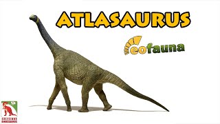 Atlasaurus Eofauna review de réplica de dinossauro [upl. by Nae]