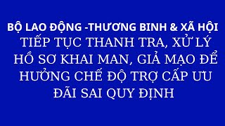 Bộ Lao động Thương binh amp Xã hội tiếp tục thanh tra xử lý hồ sơ giả mạo để hưởng chính sách ưu đãi [upl. by Eilegna157]