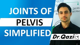 Joints of Pelvis  Pelvic Joints  Ligaments of Pelvis [upl. by Ailecra]