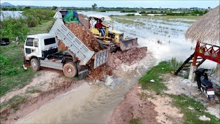 Perfectly Processing PROJECT 5T Truck Overloading Soils Into Water amp Dozer Making New Road [upl. by Eudo]