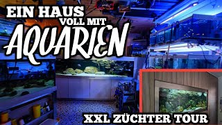 Ein HAUS voller AQUARIEN  XXL BUNTBARSCH ZÜCHTER TOUR [upl. by Ellesor]