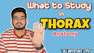 What to study in Thorax Anatomy  All Important Topics  Best Approach [upl. by Niraa]