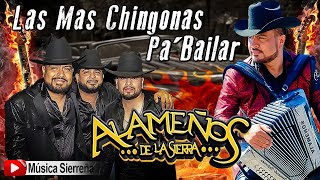 POPURRI ALAMEÑOS DE LA SIERRA  LAS MAS CHINGONAS PA BAILAR MIX 2025 [upl. by Essirehc]