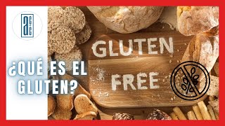 🍞¿ Qué es el GLUTEN  🍪  🤢¿ Por qué es MALO el GLUTEN  🙅‍♂️ 👨‍🔬Alimentos con Calidad ✅ [upl. by Aydne]