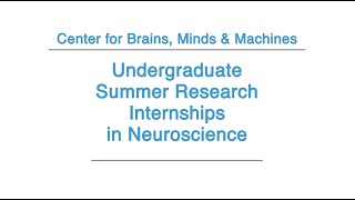 Undergraduate Summer Research Internships in Neuroscience [upl. by Shepherd204]