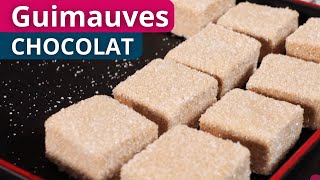 Recette Guimauve au chocolat  COURS COMPLET [upl. by Kaitlynn]