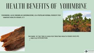 health benefits of Yohimbine [upl. by Yvon327]