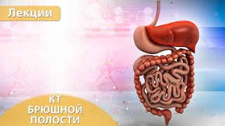 Часть 1 КТ брюшной полости  системный анализ поражений Андрей Мангов [upl. by Eanwahs]