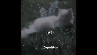 Los gatitos⁠ᐠ⁠｡⁠ꞈ⁠｡⁠ᐟ⁠\ [upl. by Adeuga]