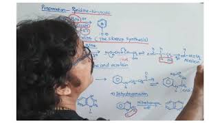 Preparations of PyridineNOxide and Quinoline by Skraup synthesis [upl. by Issim612]