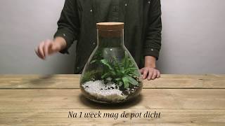 Intratuin  planten terrarium maken  DIY [upl. by Richards]