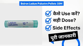 Boiron Ledum Palustre Pellets 10M Uses in Hindi  Side Effects  Dose [upl. by Daye]