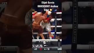 Amilcar Vidal vs Elijah Garcia [upl. by Ennayelhsa]