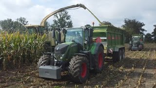 🔥Kukurydza na BGA w Agro Borowski🔥TWR amp Agro Staniek🔥FendtKroneJohn DeereJCBMassey Ferguson🔥 [upl. by Upton244]