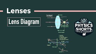 Lenses [upl. by Roxanne842]
