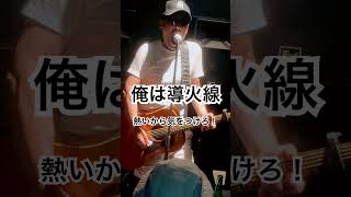 長谷川雄二 live 弾き語りライブ 弾き語り くじら号 ギター shorts short 歌謡曲 [upl. by Nohj985]