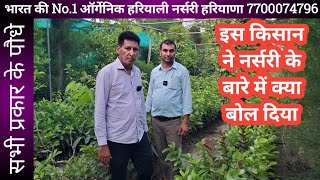 290All plants Nursery हिसार सफेदा अमरूद के पौधे ऑर्गेनिक हरियाली नर्सरी। Hisar safeda guava farming [upl. by Aniwde]