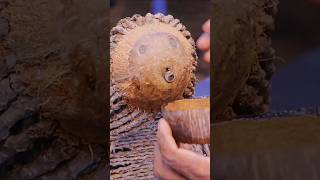 Coconut shell arts wood coconutshells [upl. by Jori]