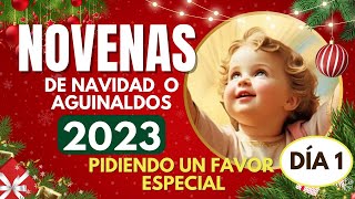 día 1 NOVENA de NAVIDAD o AGUINALDOS 🎄 16 DICIEMBRE 2023🎄COMPLETAS  pidiendo un favor muy especial [upl. by Hubsher]