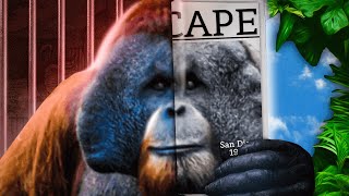 The Ape That Couldn’t Be Contained [upl. by Teraj]