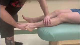 Manual Muscle Test and Lengthening  Fibularis Longus amp Brevis Lateral Compartment of the Leg [upl. by Aggri]