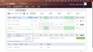 Saketa Timesheet For SharePoint  Business Owners and Employees [upl. by Losse]