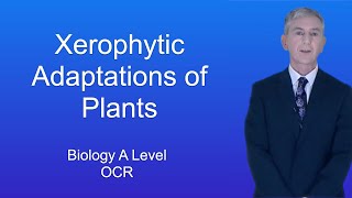 A Level Biology Revision quotXerophytic Adaptations of Plantsquot [upl. by Dehsar]