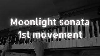 Beethoven  Moonlight Sonata 1st movement [upl. by Repohtsirhc]