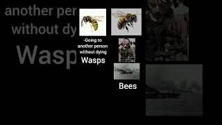 Wasps vs bees funny memes [upl. by Zetana762]