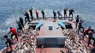 Full video of how we catch skipjack tuna watch till the end 🎣 [upl. by Arlynne]