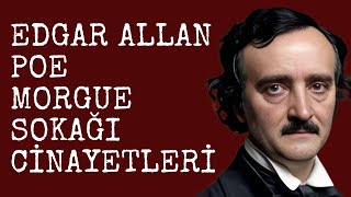 Edgar Allan Poe  Morgue Sokağı Cinayetleri  Sesli Kitap Dinle  Seslendiren  Sanem Şahin [upl. by Sipple]