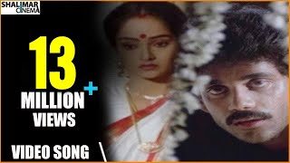 Majnu Movie  Idi Tholi Raatri Video Song  Nagarjuna Rajini  Shalimarcinema [upl. by Uwton]