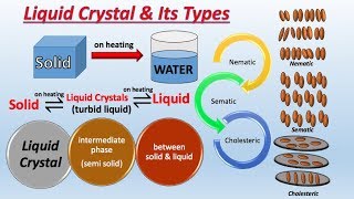 Liquid Crystals and its Types🤔  Liquid Crystals Definition and Examples  in Urdu  Hindi [upl. by Leirza210]